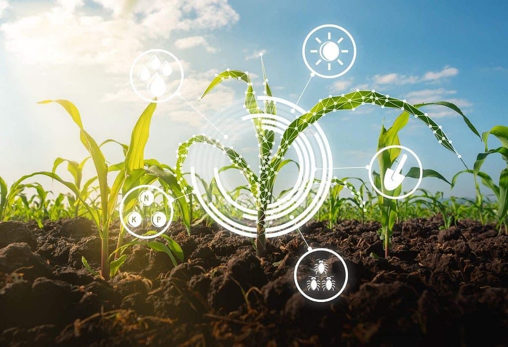 Sustainable farming landscape